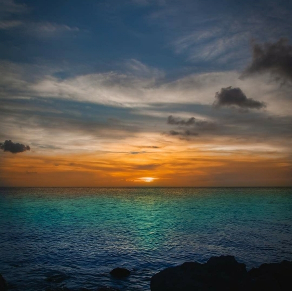 Meet your Posher, Pinki🌺 - Picture 2 of 4